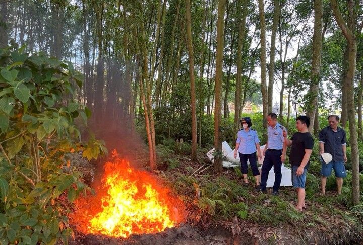Phạt cơ sở kinh doanh gần 1,5 tạ thực phẩm đông lạnh không rõ nguồn gốc- Ảnh 1.
