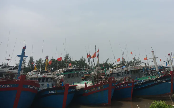 Ninh Bình: Nhiều tàu thuyền đã vào bờ tránh trú bão an toàn - Ảnh 1.