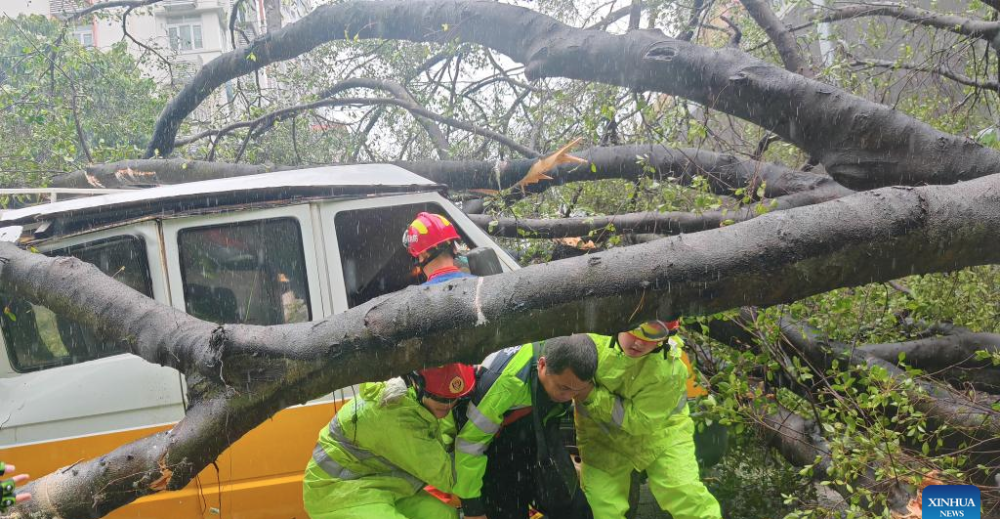 Bão Wipha (bão số 3) đổ bộ Quảng Đông, miền Nam Trung Quốc- Ảnh 2.