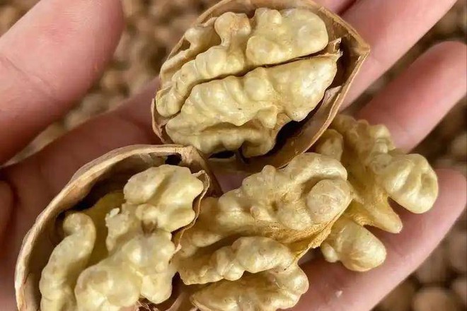 Đã tìm ra "quán quân" nuôi dưỡng trái tim: Không phải táo đỏ, mà là một cặp đôi giàu omega-3, có thể giúp trái tim "trẻ trung" lâu dài!- Ảnh 4.