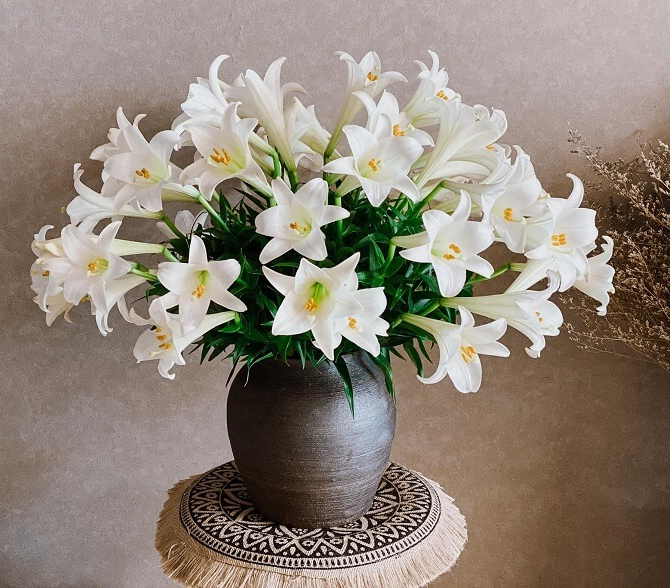 Cúng Mùng 1 tháng 6 nhuận: 5 loài hoa cắm bàn thờ được lòng bề trên, 4 loài phải tránh kẻo phạm lỗi- Ảnh 3.