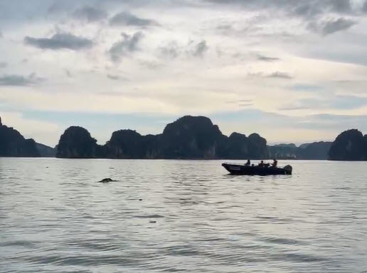 Tìm thấy thêm thi thể người phụ nữ nghi là nạn nhân vụ lật tàu ở vịnh Hạ Long, cách hiện trường 8km- Ảnh 1.