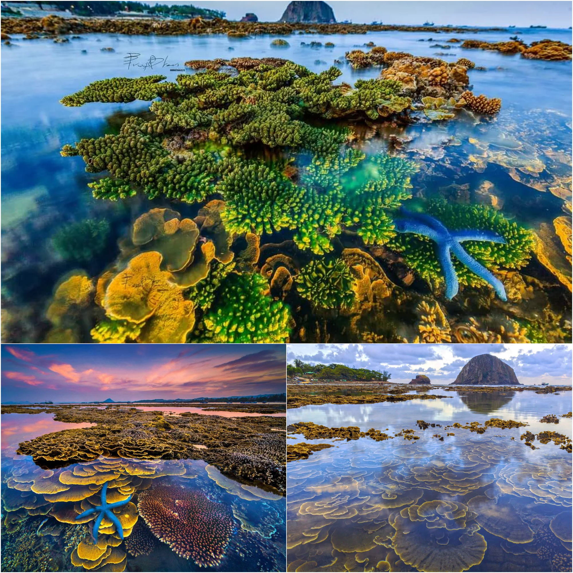 Tỉnh này có cả rừng vàng và biển bạc, cảnh đẹp miễn bàn, đặc sản đa dạng đi 8 lần ăn không hết!- Ảnh 7.