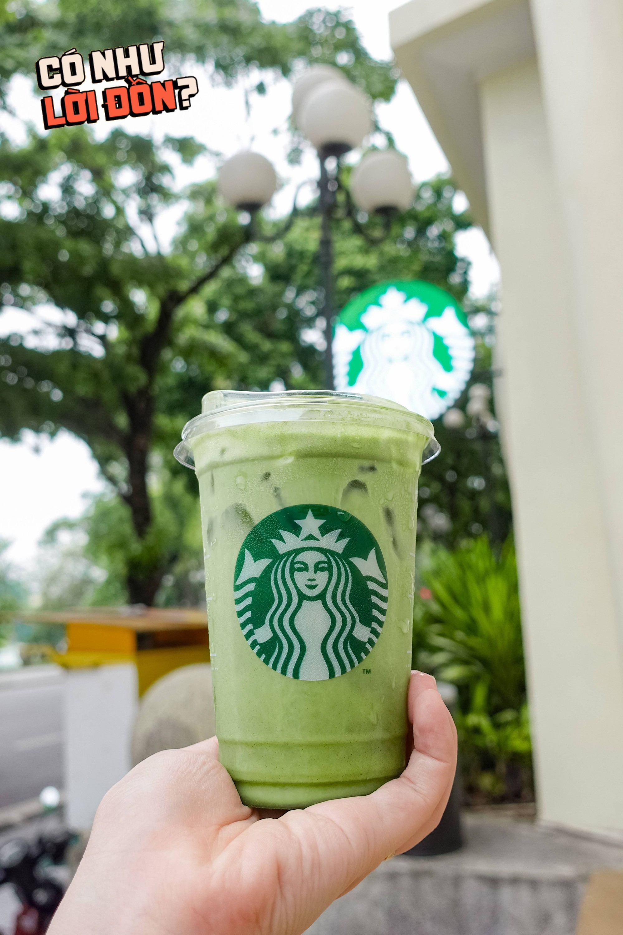Nước dừa matcha 82k của Starbucks đang khiến dân tình tranh cãi: Hương vị thật sự thế nào?- Ảnh 12.