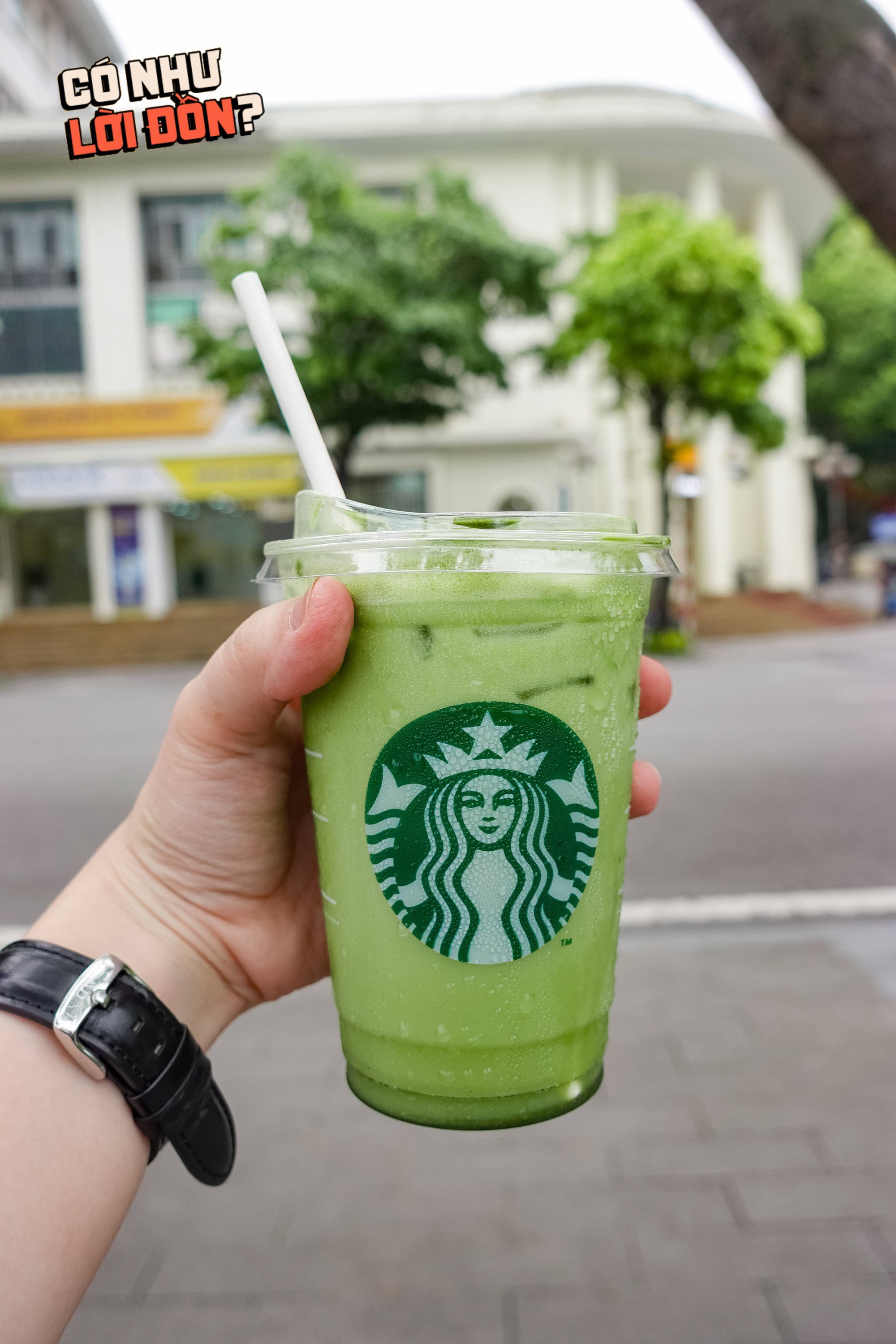 Nước dừa matcha 82k của Starbucks đang khiến dân tình tranh cãi: Hương vị thật sự thế nào?- Ảnh 16.