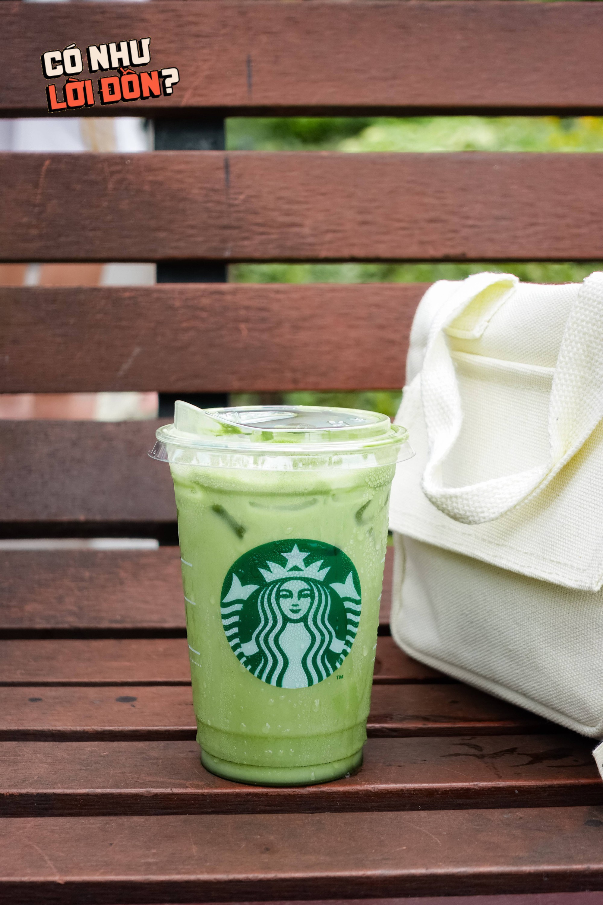Nước dừa matcha 82k của Starbucks đang khiến dân tình tranh cãi: Hương vị thật sự thế nào?- Ảnh 17.