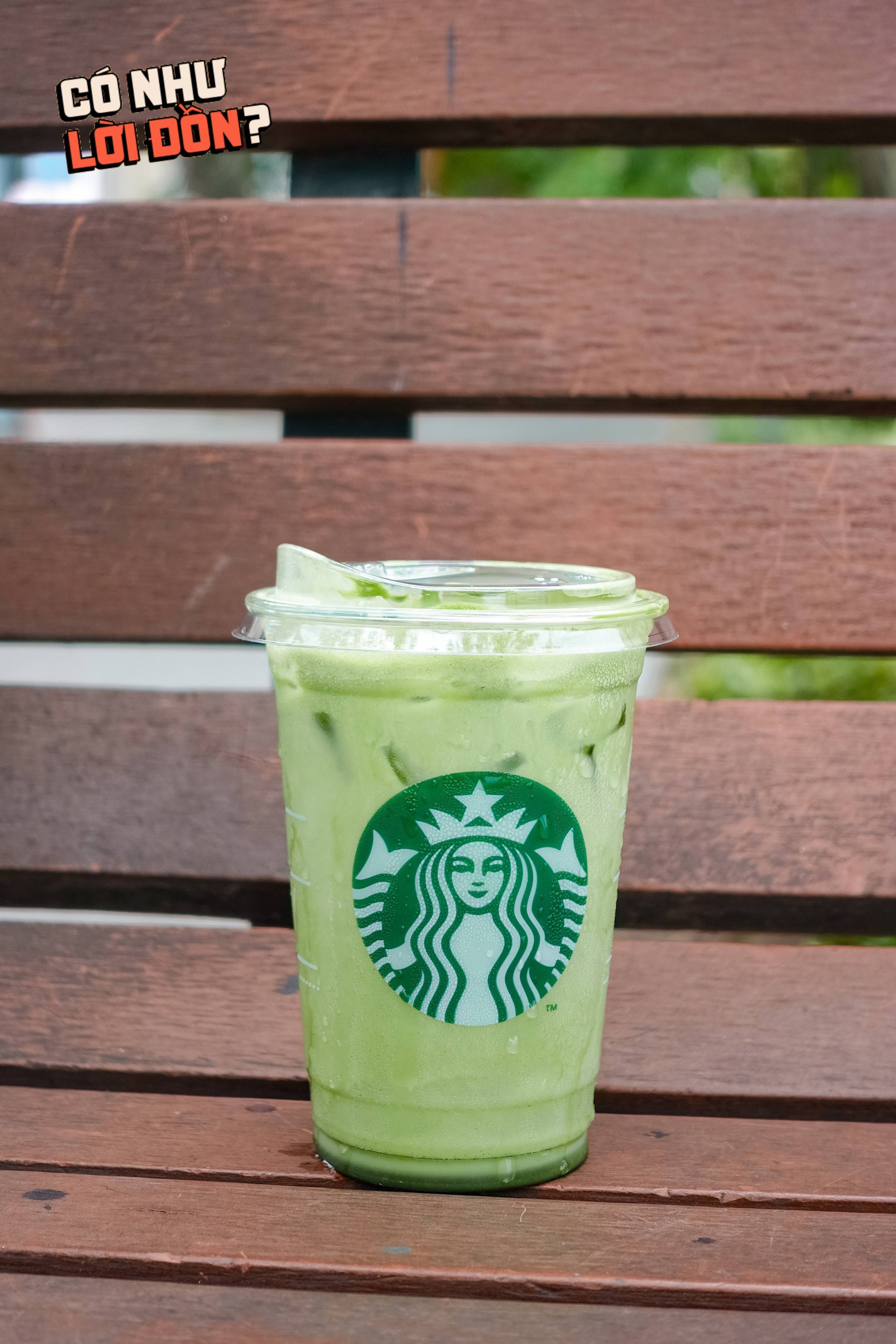 Nước dừa matcha 82k của Starbucks đang khiến dân tình tranh cãi: Hương vị thật sự thế nào?- Ảnh 8.