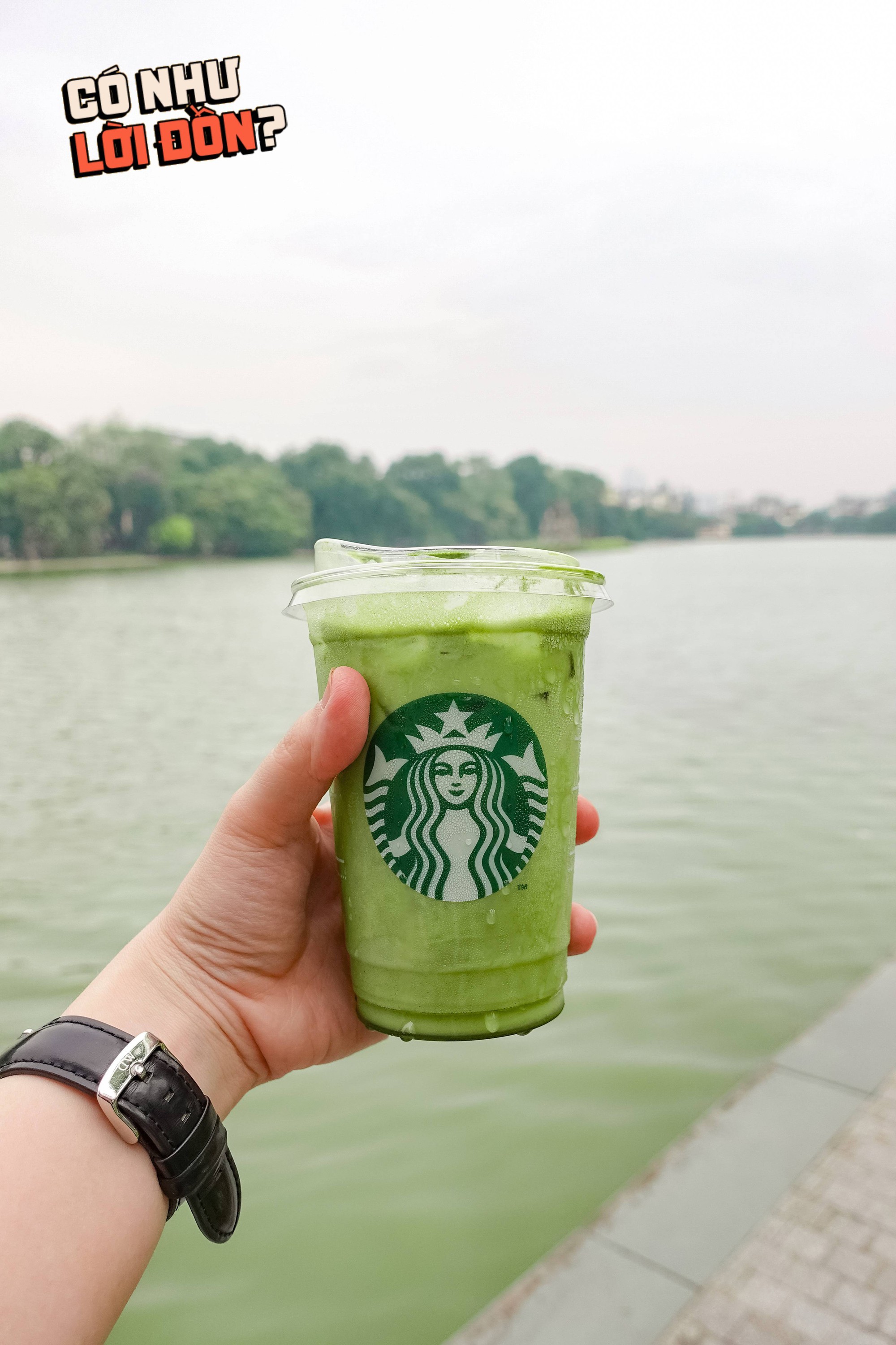 Nước dừa matcha 82k của Starbucks đang khiến dân tình tranh cãi: Hương vị thật sự thế nào?- Ảnh 11.