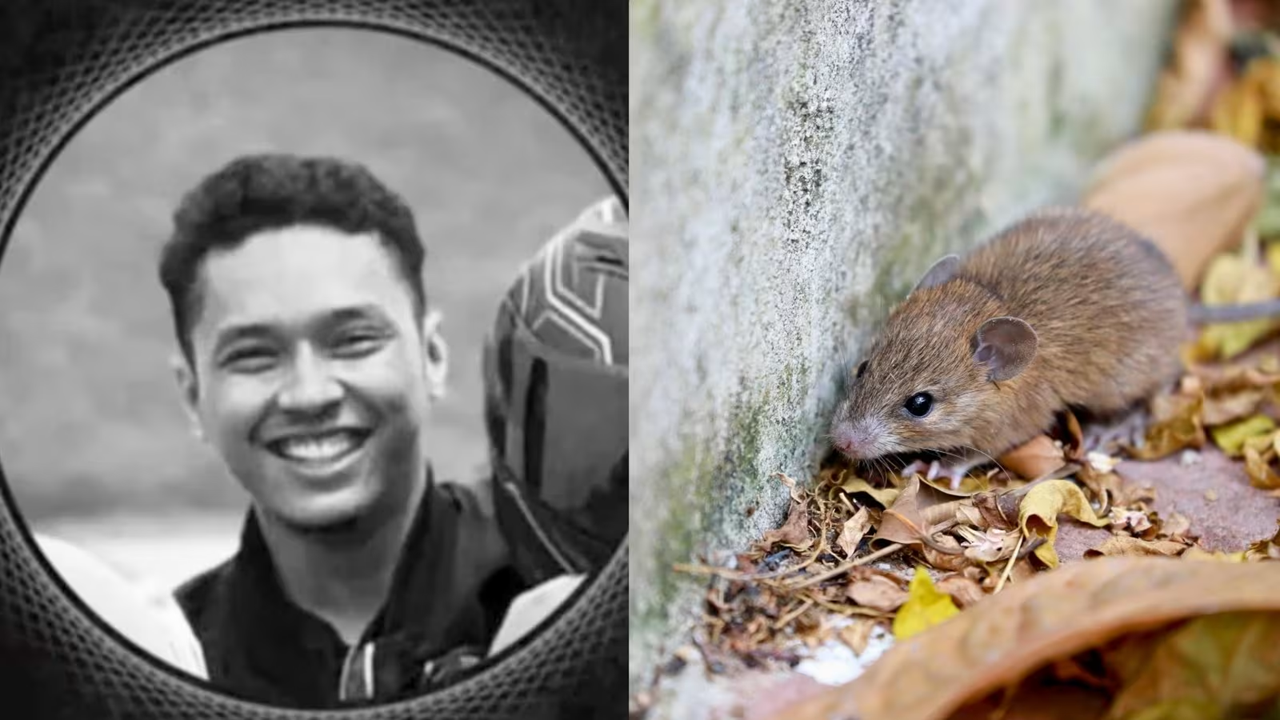 Chàng trai 23 tuổi tử vong sau 4 ngày nhiễm "bệnh nước tiểu chuột"- Ảnh 1.