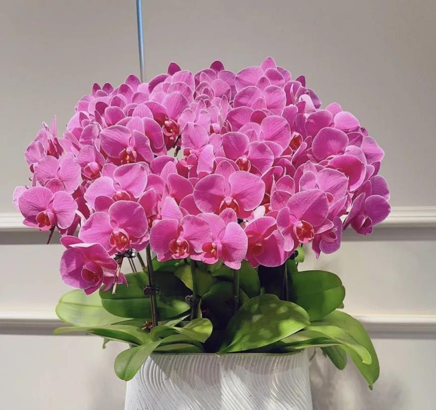 15 ngày đầu tháng 6 nhuận: Làm sớm 5 điều để khai thông tài vận, tiền bạc và quý nhân tự khắc tìm đến!- Ảnh 2.