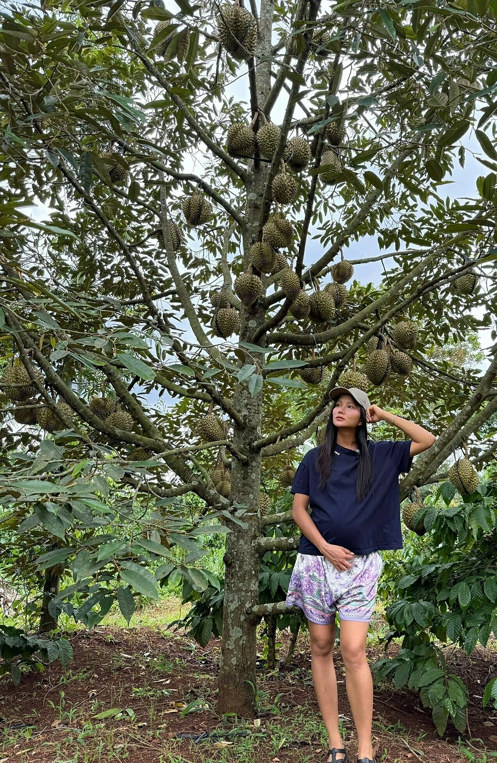 Người đẹp mua hơn "nửa quả đồi", nhà vườn 2.500 m2 ở Đắk Lắk: Giấu kín chuyện tình 7 năm và cái kết như ý- Ảnh 4.