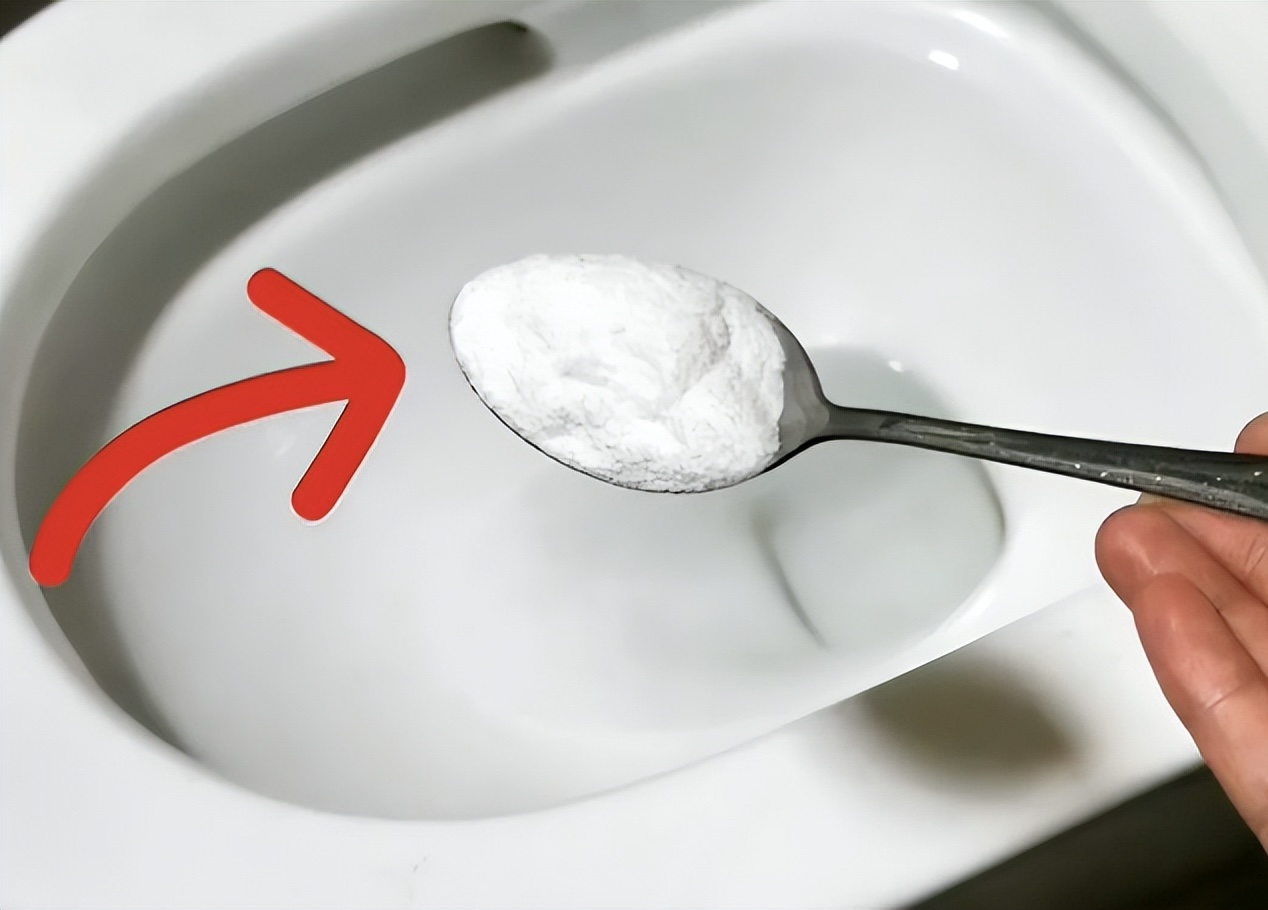 Rắc vài hạt muối vào bồn cầu, cả gia đình nhận lại lợi ích không ngờ- Ảnh 1.