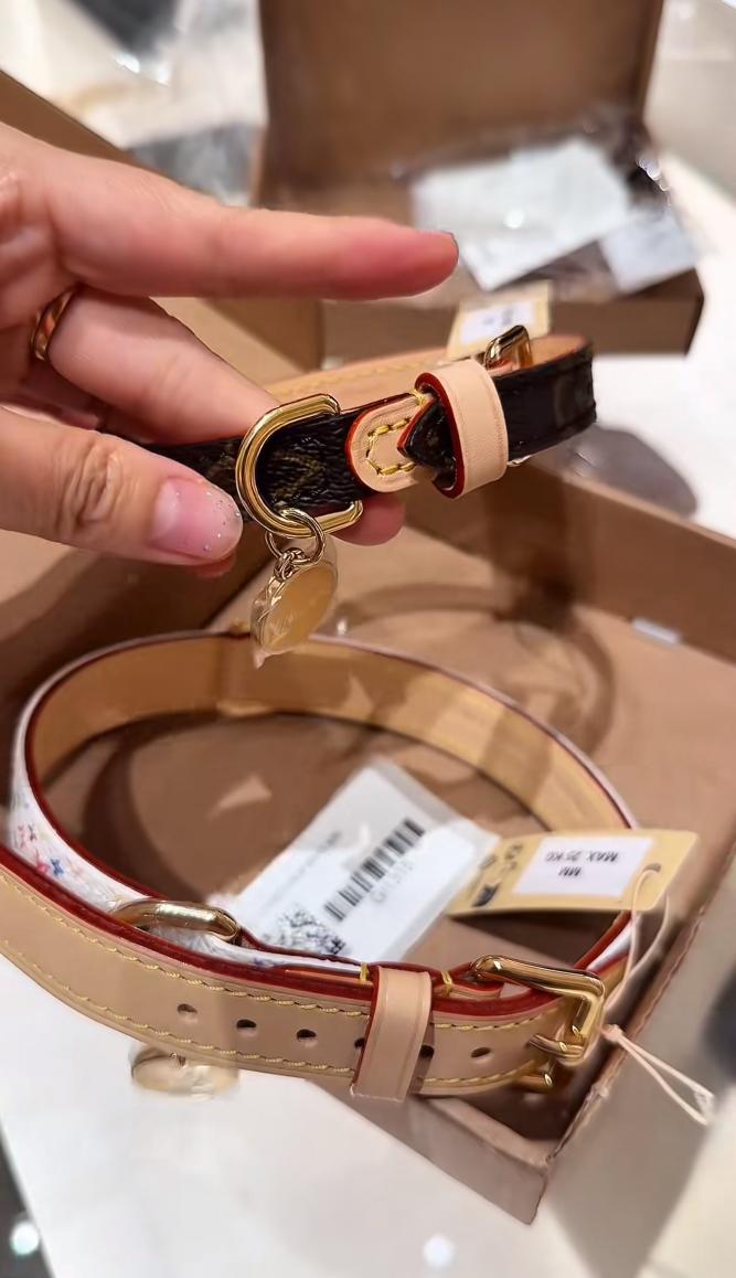 Cô gái chi 50 triệu tổ chức sinh nhật cho thú cưng, cư dân mạng cãi nhau nảy lửa- Ảnh 2. Cô gái chi 50 triệu tổ chức sinh nhật cho thú cưng, cư dân mạng cãi nhau nảy lửa- Ảnh 2.