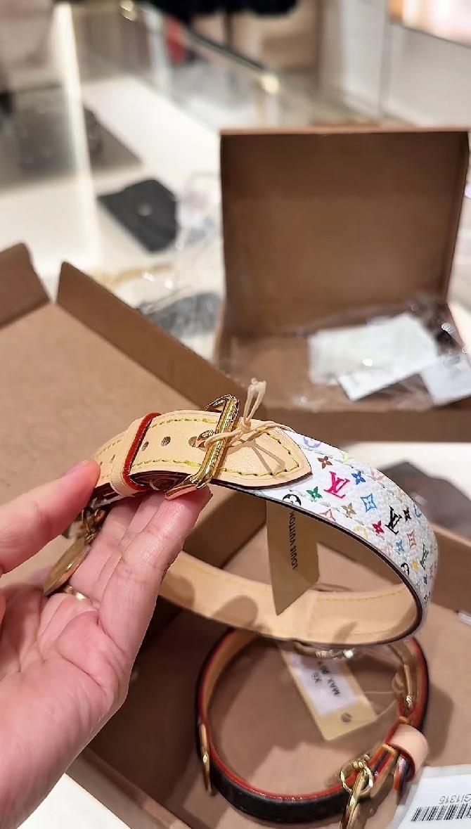 Cô gái chi 50 triệu tổ chức sinh nhật cho thú cưng, cư dân mạng cãi nhau nảy lửa- Ảnh 1. Cô gái chi 50 triệu tổ chức sinh nhật cho thú cưng, cư dân mạng cãi nhau nảy lửa- Ảnh 1.