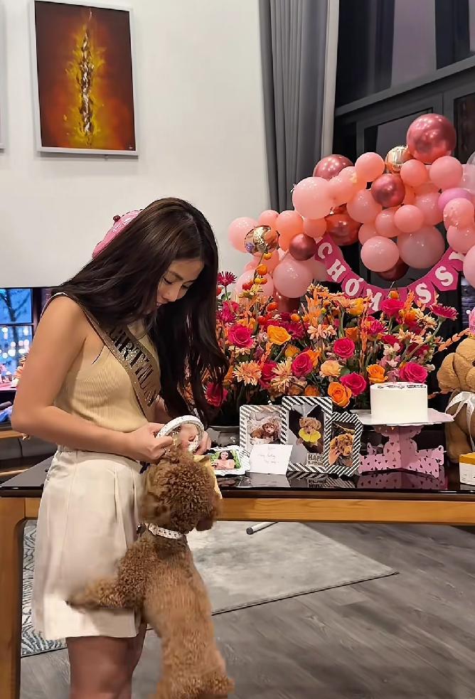 Cô gái chi 50 triệu tổ chức sinh nhật cho thú cưng, cư dân mạng cãi nhau nảy lửa- Ảnh 8. Cô gái chi 50 triệu tổ chức sinh nhật cho thú cưng, cư dân mạng cãi nhau nảy lửa- Ảnh 8.