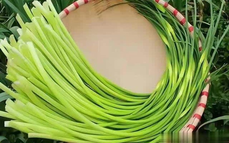 5 loại rau quả mùa hè nên tránh, ngay cả người bán cũng lắc đầu từ chối