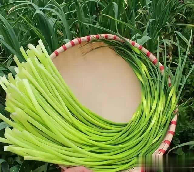 5 loại rau quả mùa hè nên tránh, ngay cả người bán cũng lắc đầu từ chối