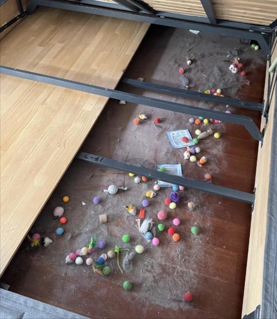 4 thứ dưới gầm giường âm thầm đầu độc sức khỏe, chuyên gia cảnh báo không phải mê tín- Ảnh 2. 4 thứ dưới gầm giường âm thầm đầu độc sức khỏe, chuyên gia cảnh báo không phải mê tín- Ảnh 2.