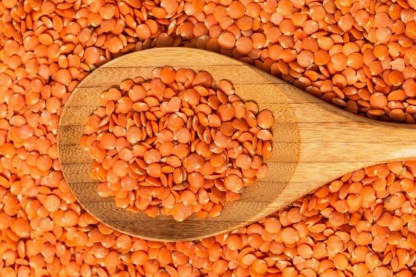 Mùa hè nóng nực, hãy thêm 1 món giàu protein vào thực đơn hàng ngày để bổ tỳ, mát cơ thể