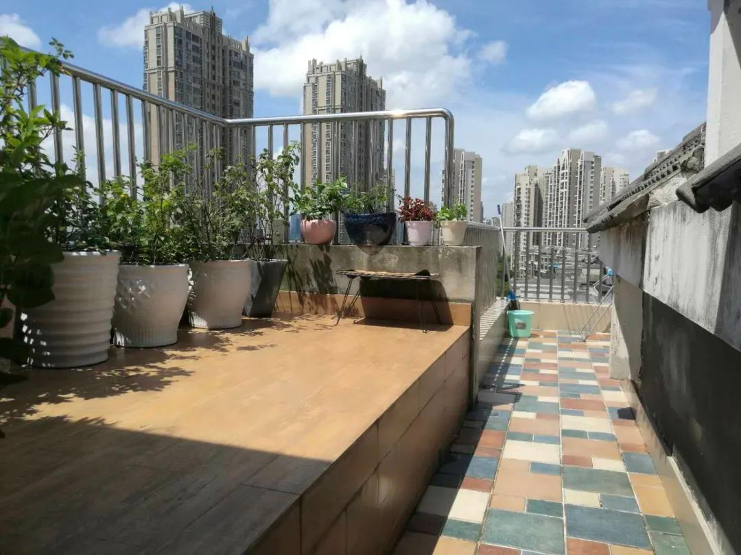 Tôi cải tạo sân thượng 10m² thành vườn hoa nở quanh năm và 4 năm sau khiến ai đến cũng phải trầm trồ