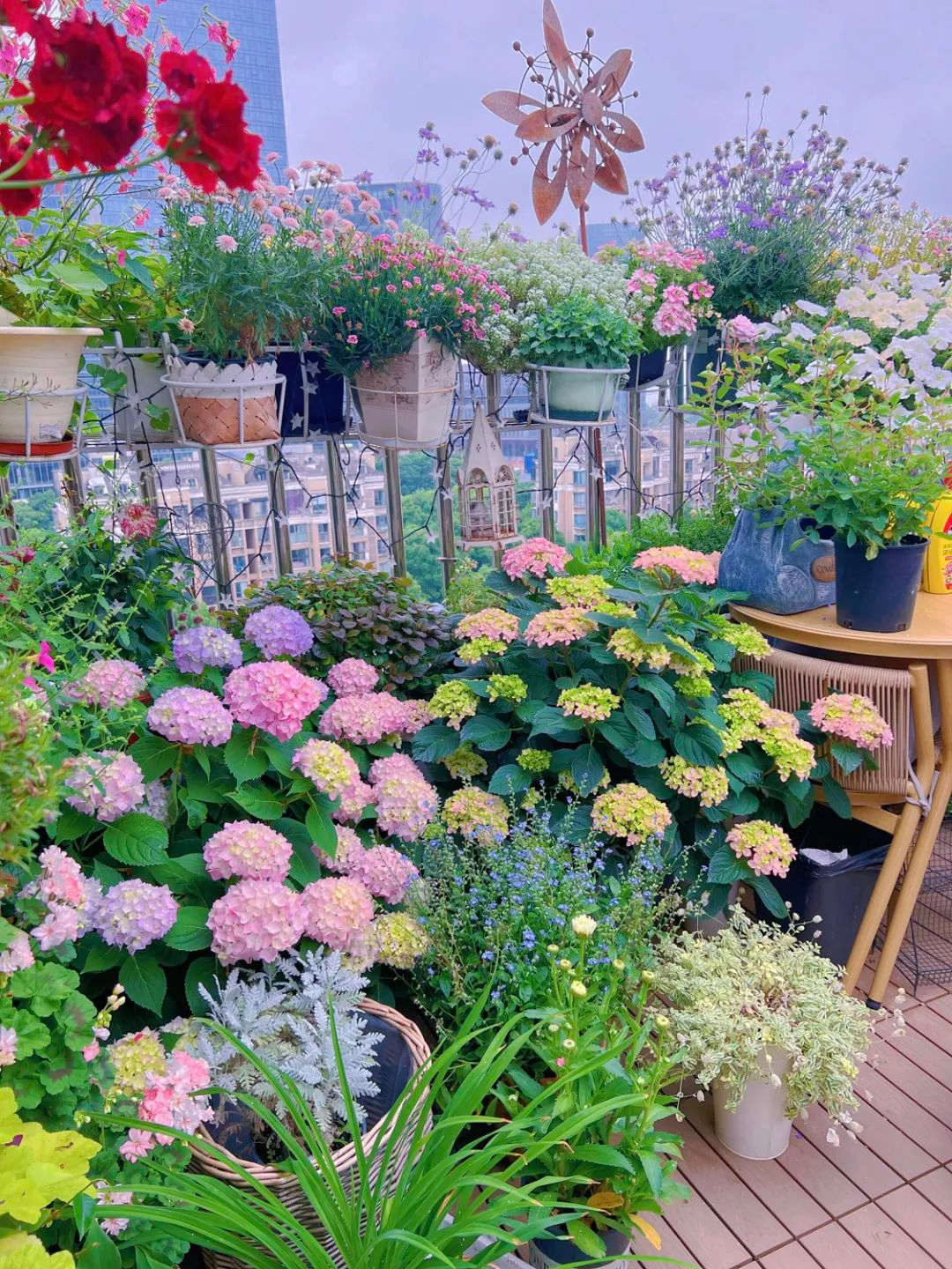 Tôi cải tạo sân thượng 10m² thành vườn hoa nở quanh năm và 4 năm sau khiến ai đến cũng phải trầm trồ