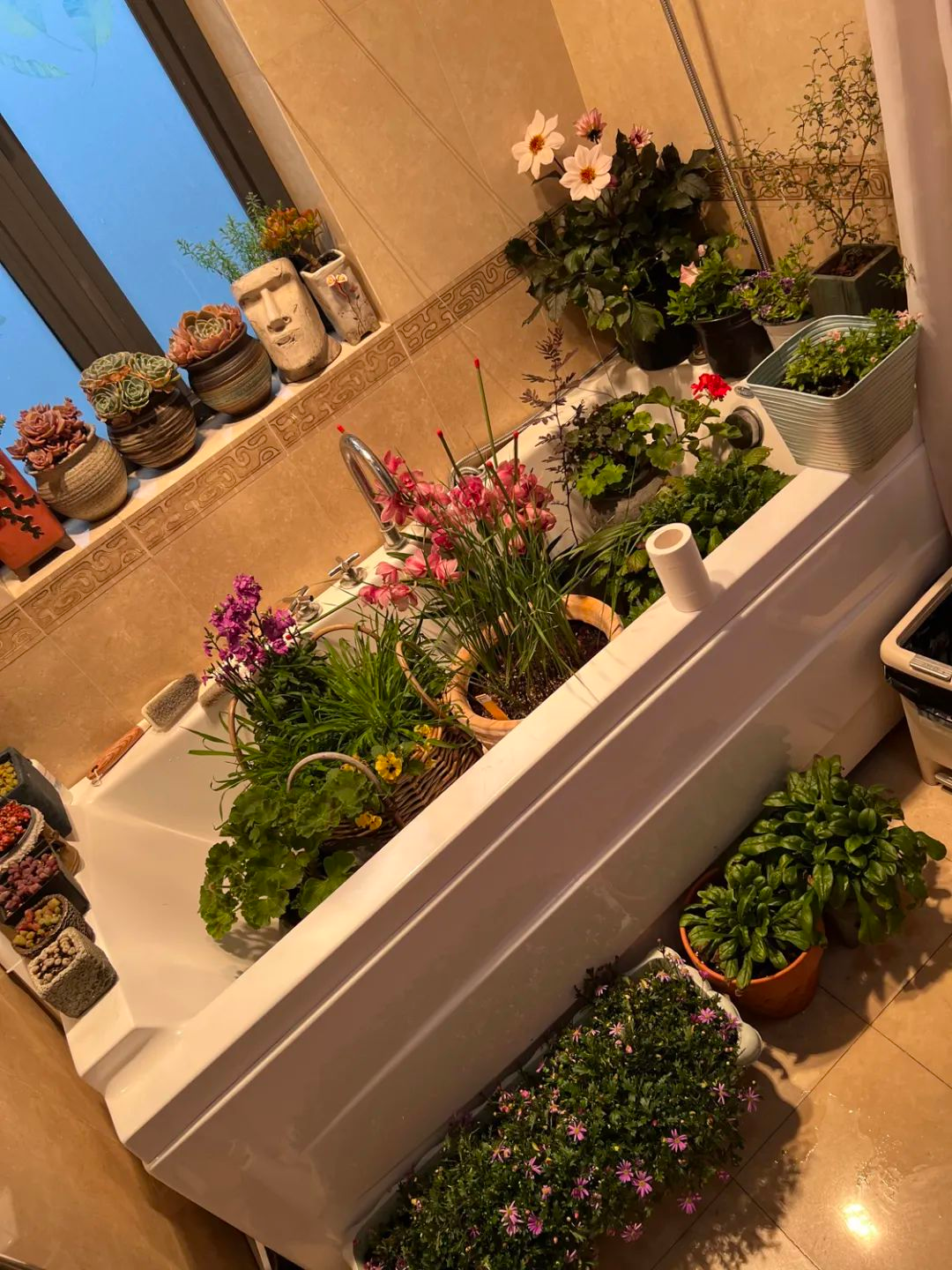 Tôi cải tạo sân thượng 10m² thành vườn hoa nở quanh năm và 4 năm sau khiến ai đến cũng phải trầm trồ