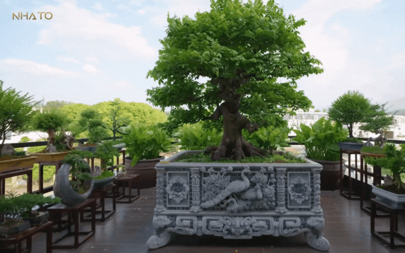 Bên trong biệt phủ hình chữ "H" rộng 1.200m2 đậm chất Á Đông của gia chủ yêu trà đạo - Ảnh 37.