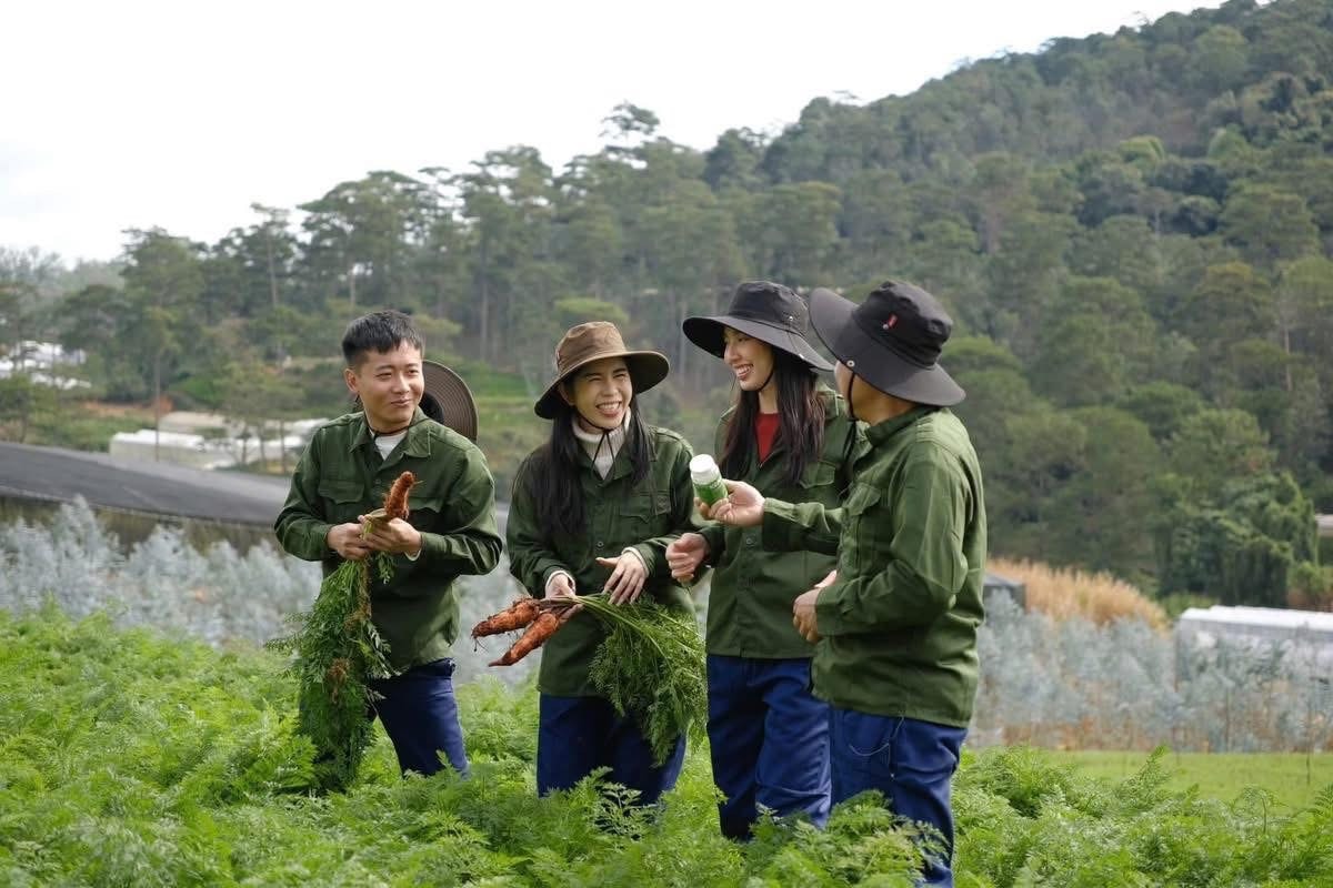 Luật mới siết quảng cáo: Chấm dứt thời "lập lờ đánh lận" người tiêu dùng - Ảnh 1.