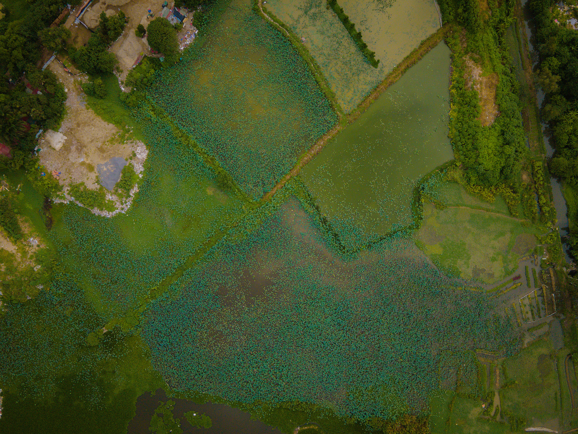 Khu vực sẽ xây dựng trái tim của tuyến tàu điện 35.000 tỷ, khởi công sau 3 tháng nữa ở Hà Nội- Ảnh 4. Khu vực sẽ xây dựng trái tim của tuyến tàu điện 35.000 tỷ, khởi công sau 3 tháng nữa ở Hà Nội- Ảnh 4.