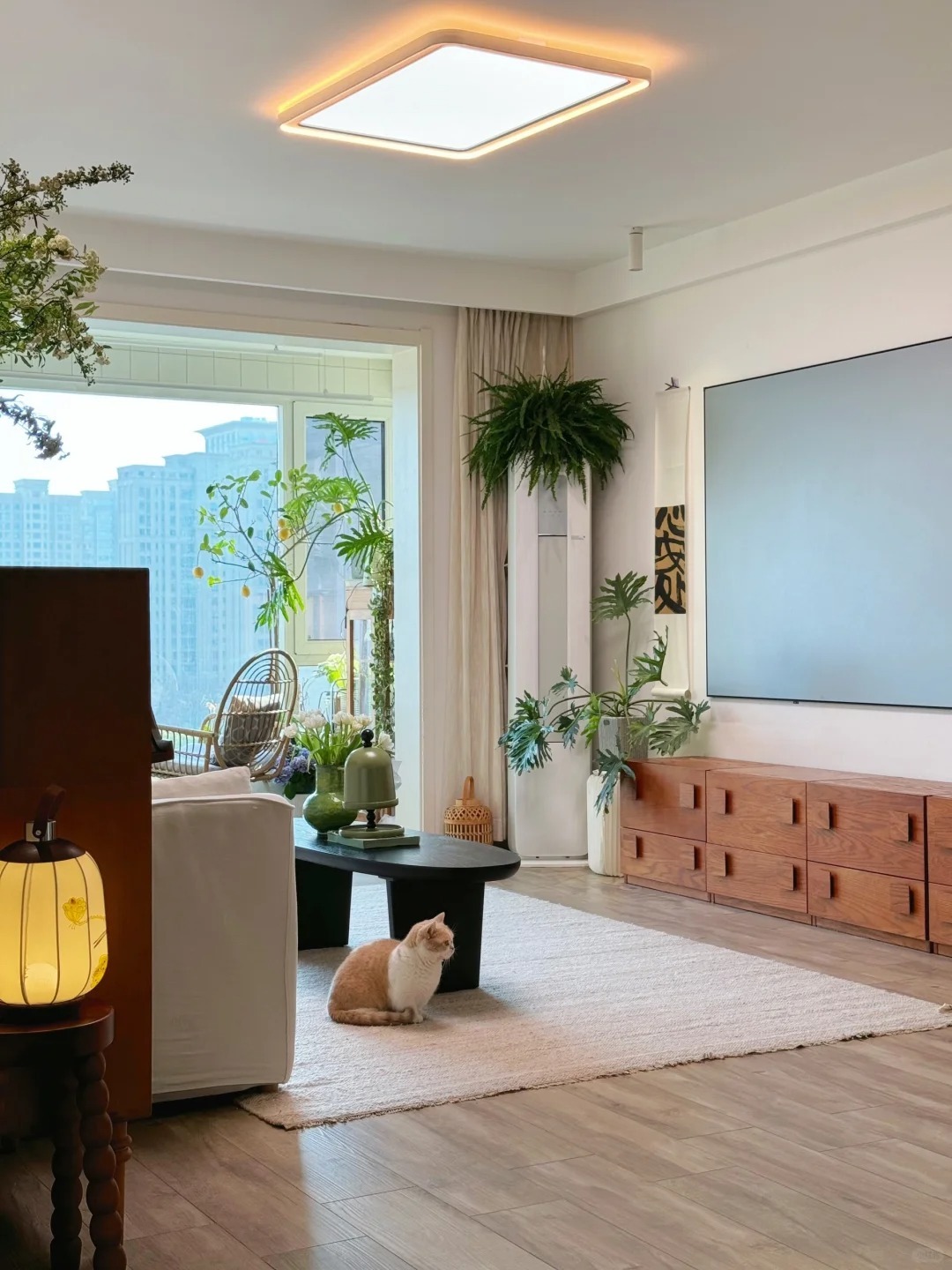 Căn hộ của nữ nhiếp ảnh gia gây sốt MXH: Cảm giác "chữa lành" quá mạnh mẽ, đẹp như poster phim - Ảnh 2.