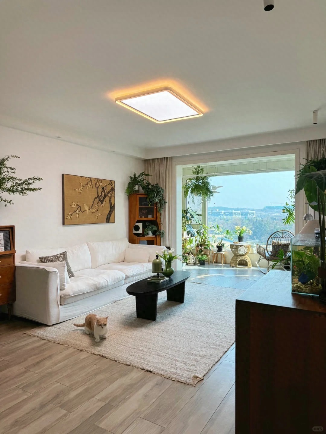 Căn hộ của nữ nhiếp ảnh gia gây sốt MXH: Cảm giác "chữa lành" quá mạnh mẽ, đẹp như poster phim - Ảnh 1.