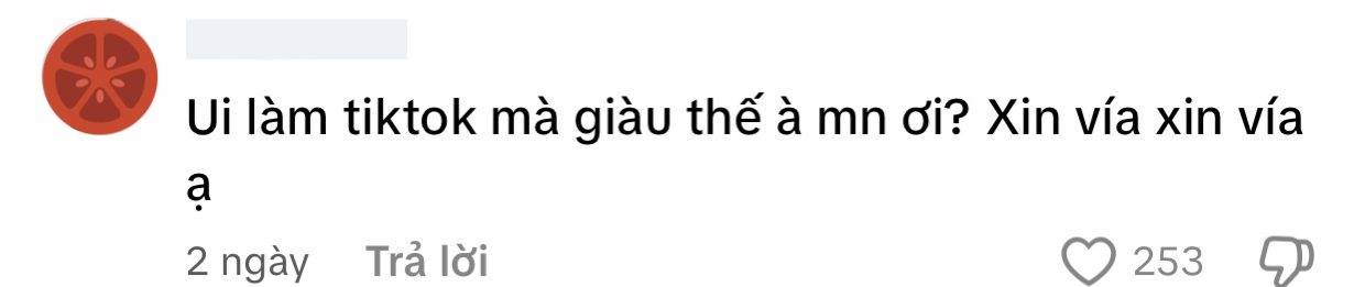2 năm làm TikToker, cô gái 24 tuổi gom tiền xây sửa nhà cho bố mẹ khiến dân mạng tò mò về thu nhập khủng- Ảnh 6.