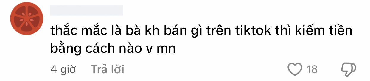 2 năm làm TikToker, cô gái 24 tuổi gom tiền xây sửa nhà cho bố mẹ khiến dân mạng tò mò về thu nhập khủng- Ảnh 7.