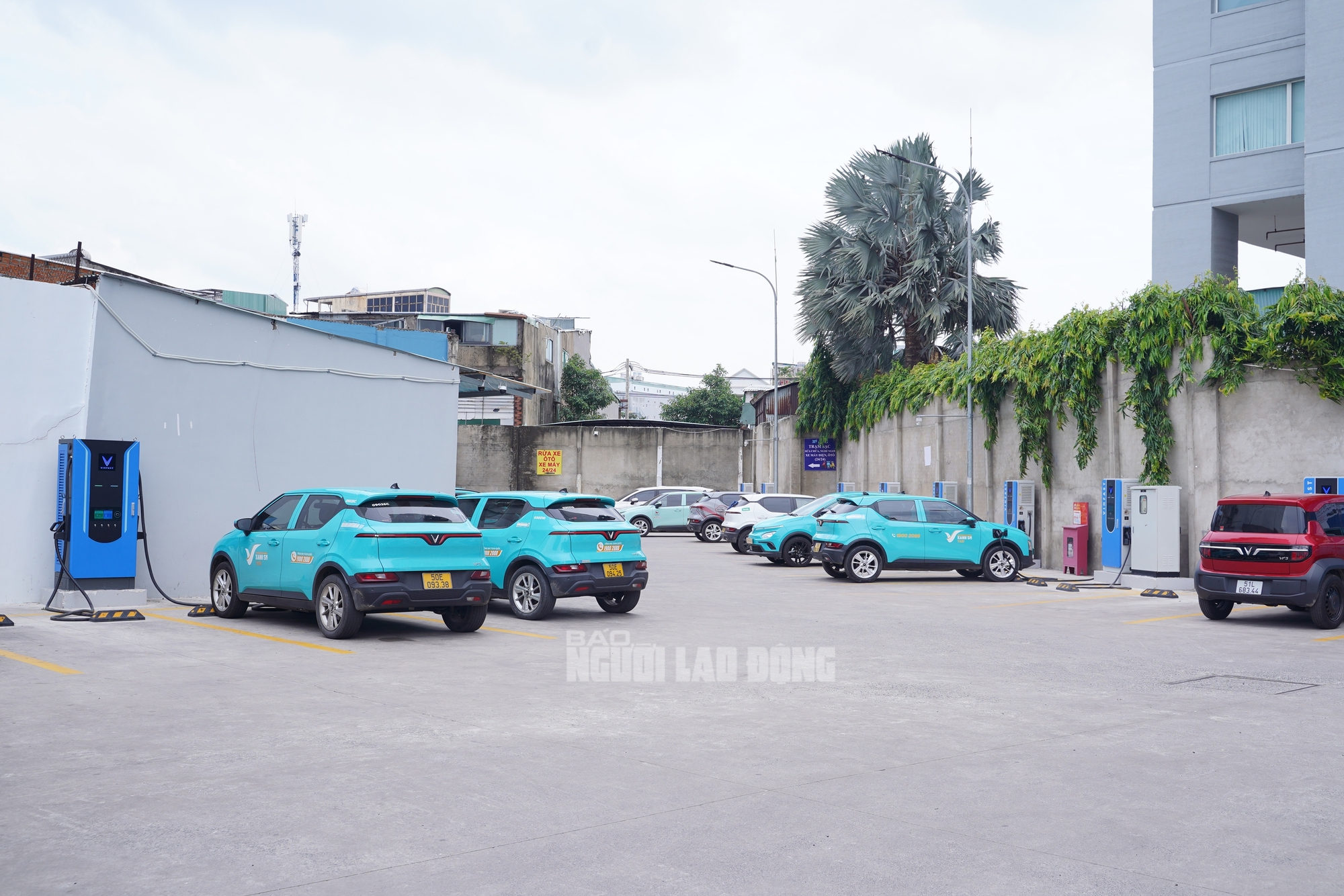 VIDEO: Thu lợi nhuận khủng hằng tháng từ quán cà phê võng kết hợp trạm sạc - Ảnh 13.