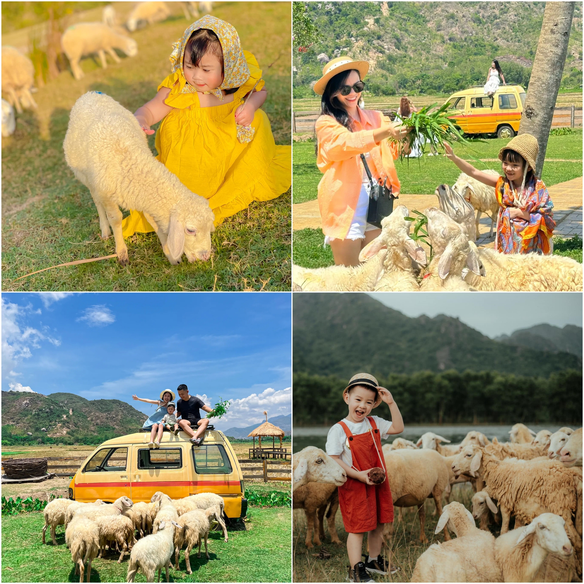 Không chỉ sở hữu nhiều kỷ lục "nhất Việt Nam", nơi này còn chinh phục du khách bằng những món ngon không đâu sánh được- Ảnh 19.