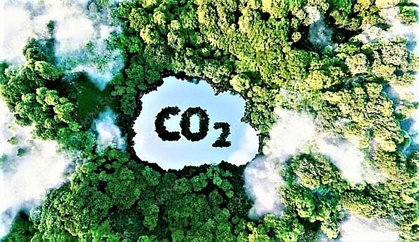 Nhiều chính sách kinh tế nổi bật có hiệu lực từ tháng 8/2025 - Ảnh 1.