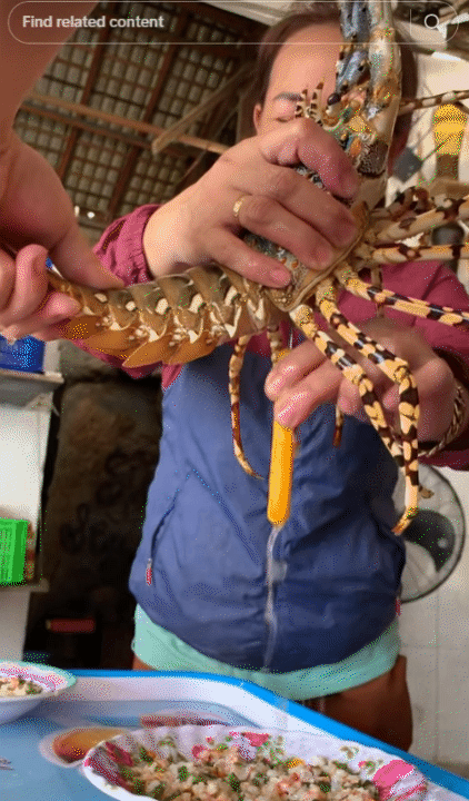 Không chỉ sở hữu nhiều kỷ lục "nhất Việt Nam", nơi này còn chinh phục du khách bằng những món ngon không đâu sánh được- Ảnh 6.