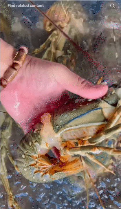 Không chỉ sở hữu nhiều kỷ lục "nhất Việt Nam", nơi này còn chinh phục du khách bằng những món ngon không đâu sánh được- Ảnh 5.