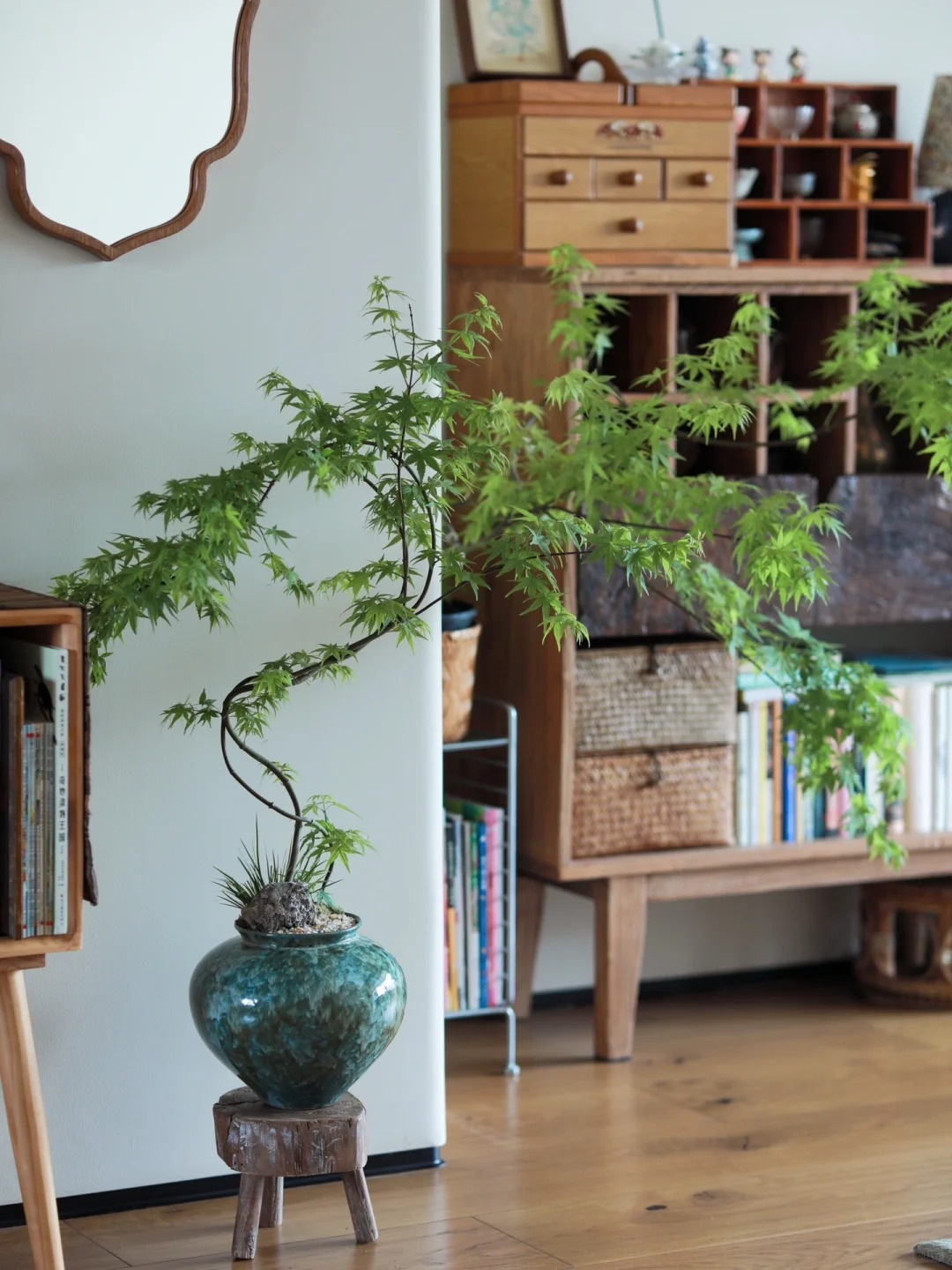 Căn nhà của vị giáo sư sống thọ 101 tuổi: Nhìn góc nào cũng bình yên, đầy mùi tri thức!- Ảnh 2.