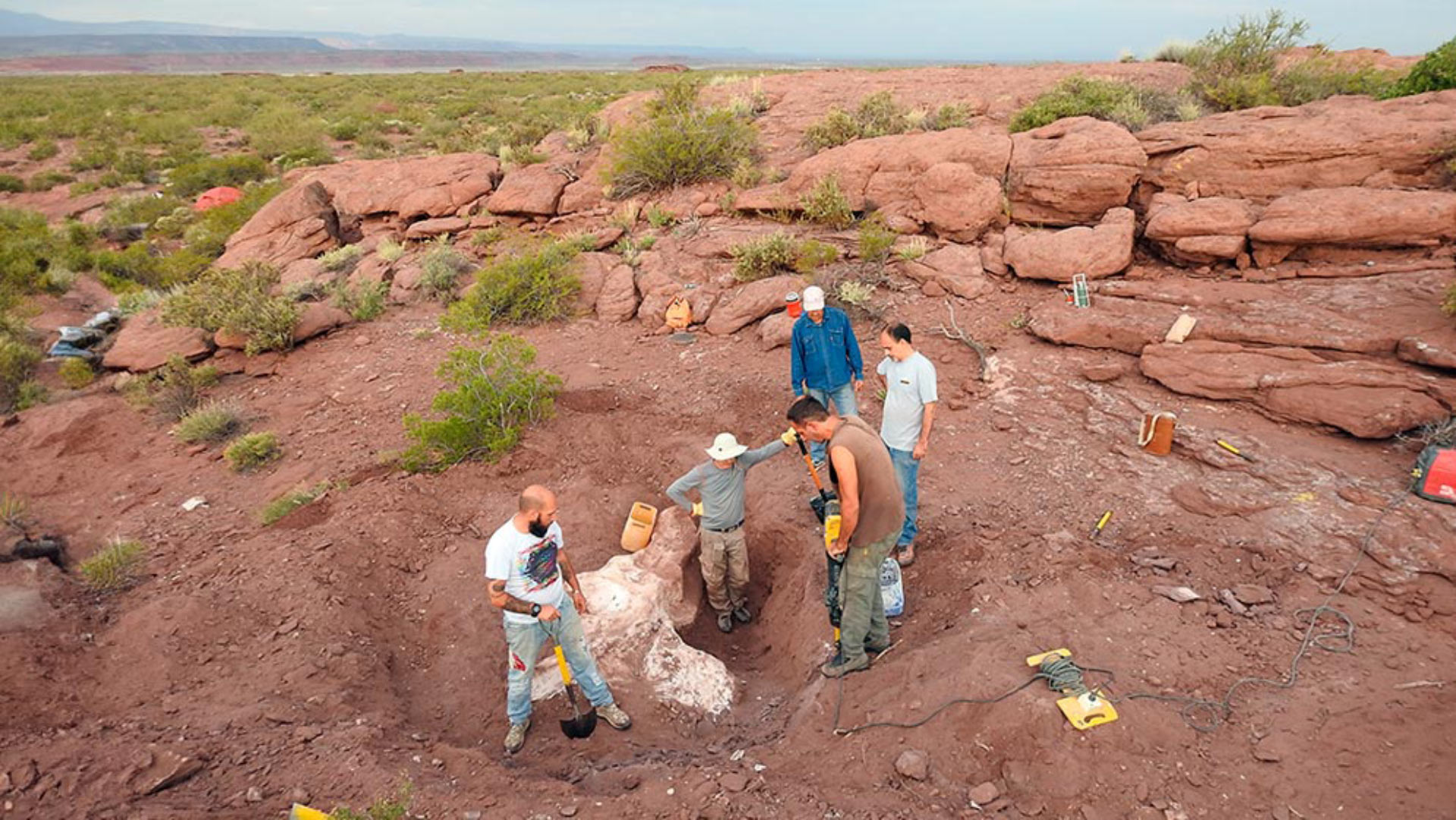 Khai quật một siêu quái vật chưa từng được biết đến trên thế giới - Ảnh 1.