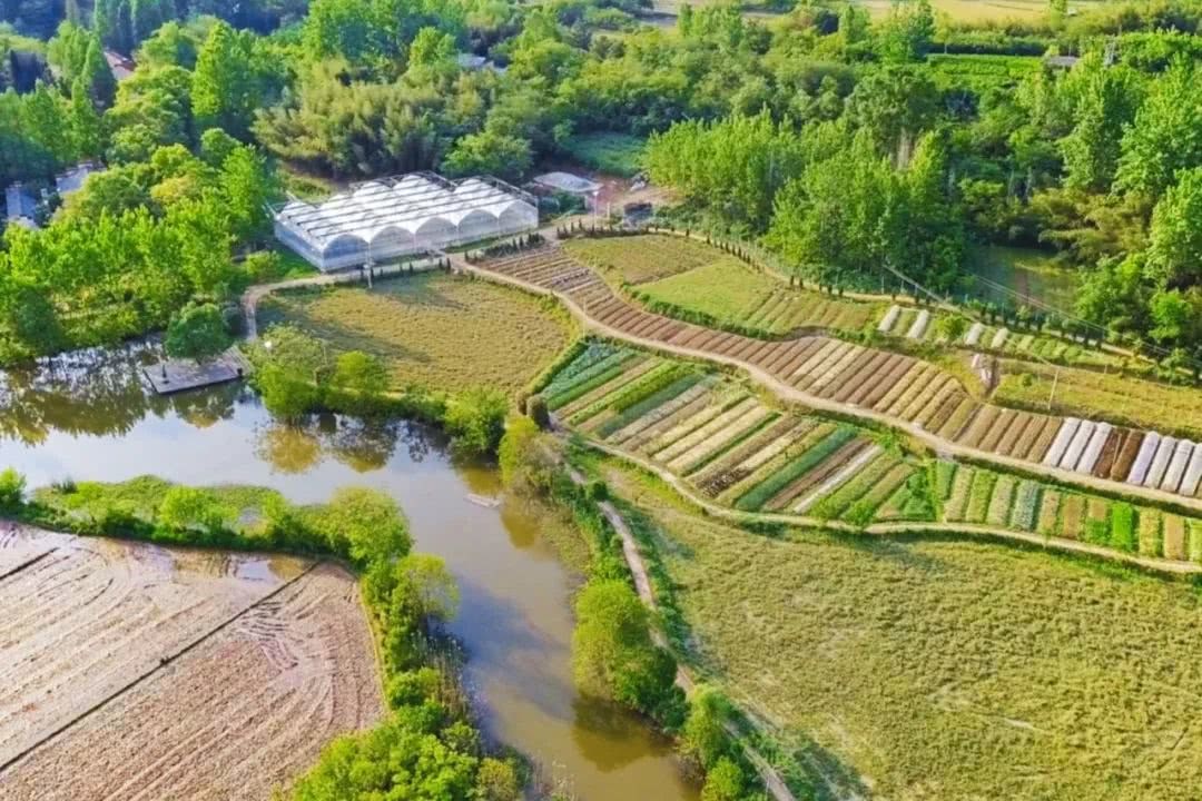 Giám đốc công nghệ “bỏ phố về quê”, mua hơn 133.000m2 đất để nghỉ hưu: Mất 3 năm mới hoàn thành nông trại trong mơ
