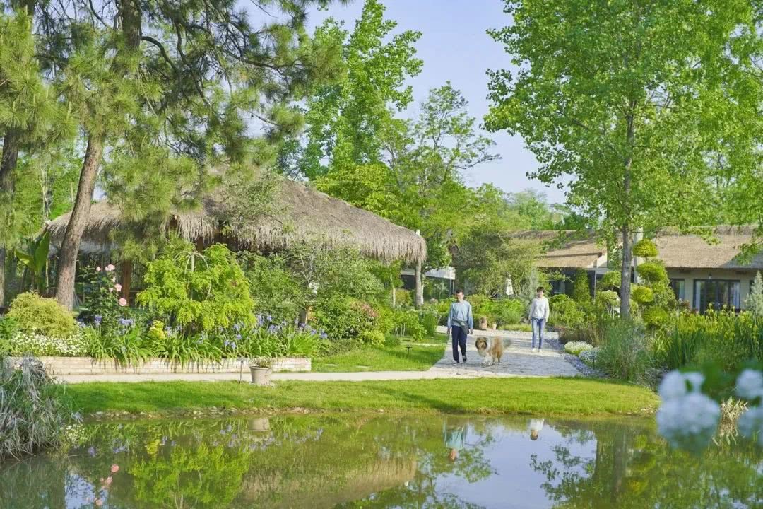 Giám đốc công nghệ “bỏ phố về quê”, mua hơn 133.000m2 đất để nghỉ hưu: Mất 3 năm mới hoàn thành nông trại trong mơ