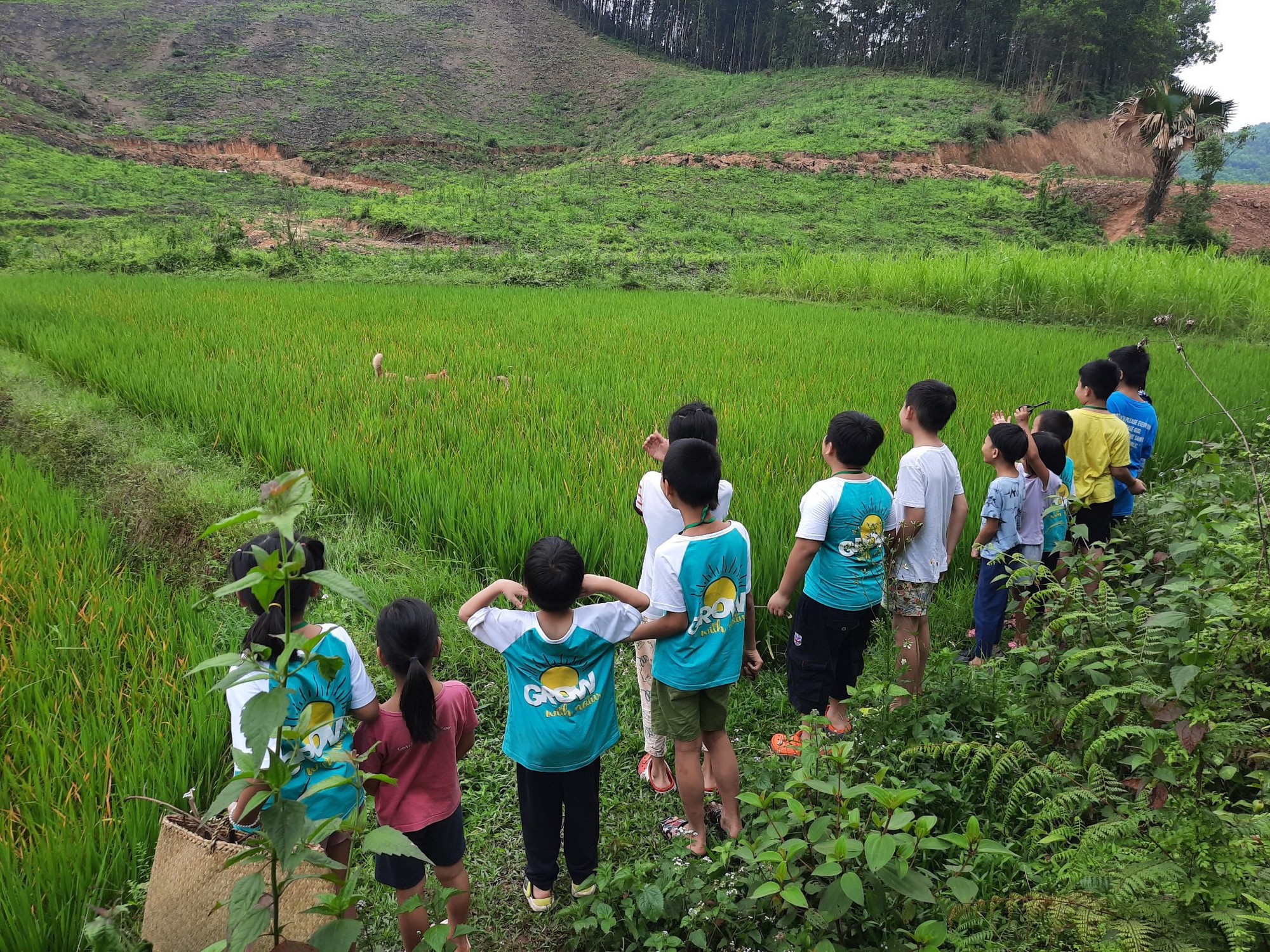 Toàn bộ mô hình hoạt động và mức phí của Làng Háo Hức - trại hè do MC Minh Trang làm fouder- Ảnh 7. Toàn bộ mô hình hoạt động và mức phí của Làng Háo Hức - trại hè do MC Minh Trang làm fouder- Ảnh 7.