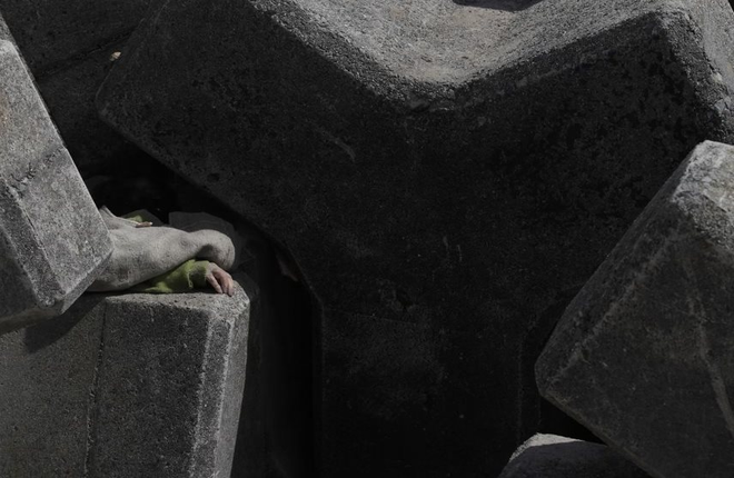 14 năm sau thảm họa kép: Nhật Bản vẫn sống trong cơn ác mộng về địa chấn, 27.615 người chưa thể trở về nhà và những tiên tri đầy ám ảnh- Ảnh 11.