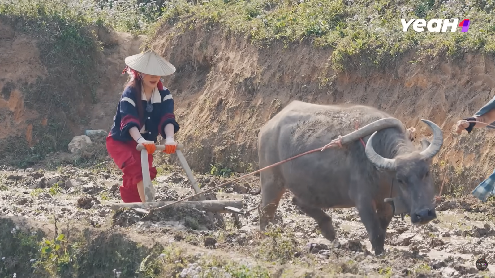 Tiểu thư 7000 tỷ gây sốt ở Gia Đình Haha: Tay quen bóc đồ hiệu giờ nếm cảm giác đào sắn, bẻ măng, cày ruộng hùng hục