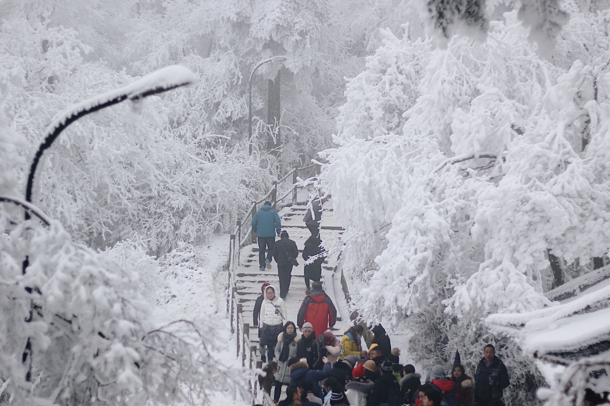 Khách Việt vỡ mộng khi thử "trải nghiệm trong phim" ở Trung Quốc: "Trái ngược hoàn toàn với tưởng tượng của tôi"- Ảnh 1.