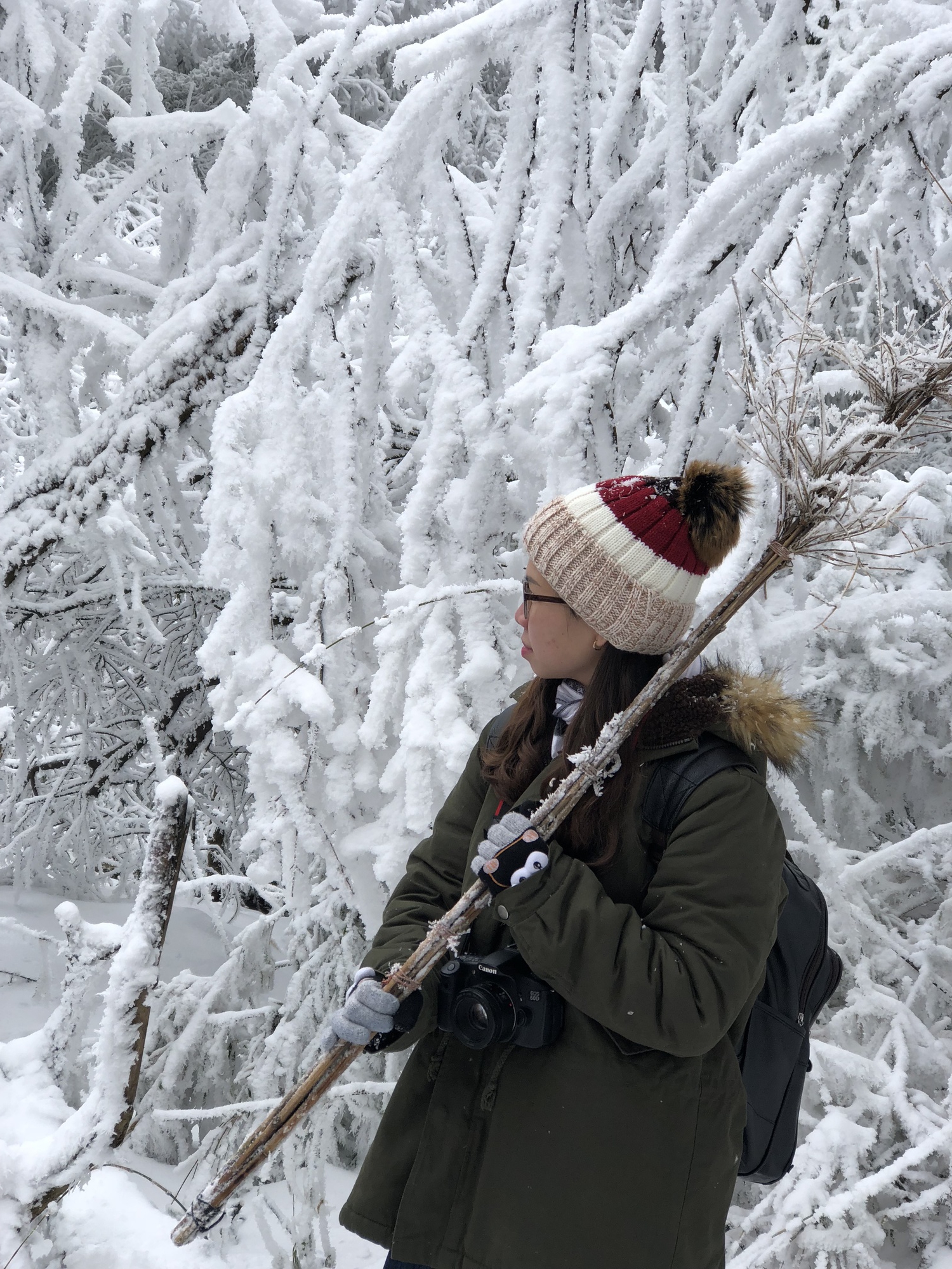 Khách Việt vỡ mộng khi thử "trải nghiệm trong phim" ở Trung Quốc: "Trái ngược hoàn toàn với tưởng tượng của tôi"- Ảnh 3.