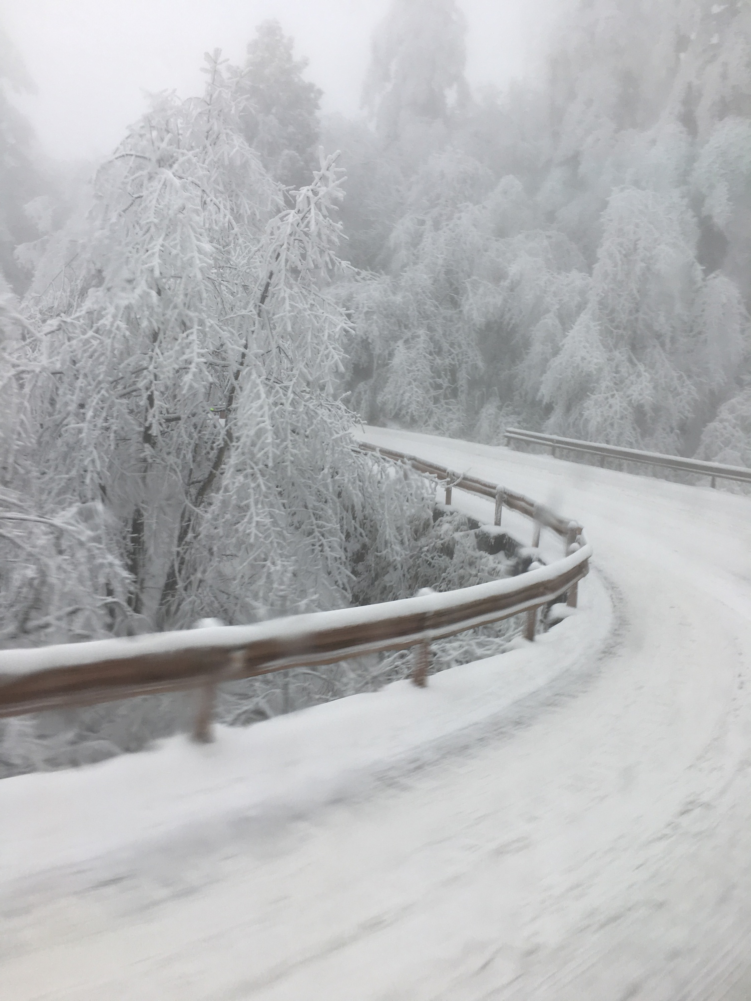Khách Việt vỡ mộng khi thử "trải nghiệm trong phim" ở Trung Quốc: "Trái ngược hoàn toàn với tưởng tượng của tôi"- Ảnh 4.