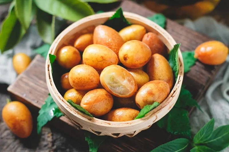 Loại quả dại ở Việt Nam lại là "trái vàng" được săn lùng tại Trung Quốc, từ rễ đến hạt đều "bổ như sâm" - Ảnh 1. Loại quả dại ở Việt Nam lại là "trái vàng" được săn lùng tại Trung Quốc, từ rễ đến hạt đều "bổ như sâm" - Ảnh 1.