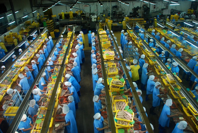 "Mỏ vàng" tỷ đô của Việt Nam khiến nền kinh tế giàu top 40 thế giới khao khát: Tăng trưởng sốc gấp 69 lần chỉ sau 3 năm- Ảnh 1.